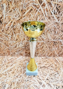 POKAL KELIH