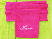 BRISAČA HANA