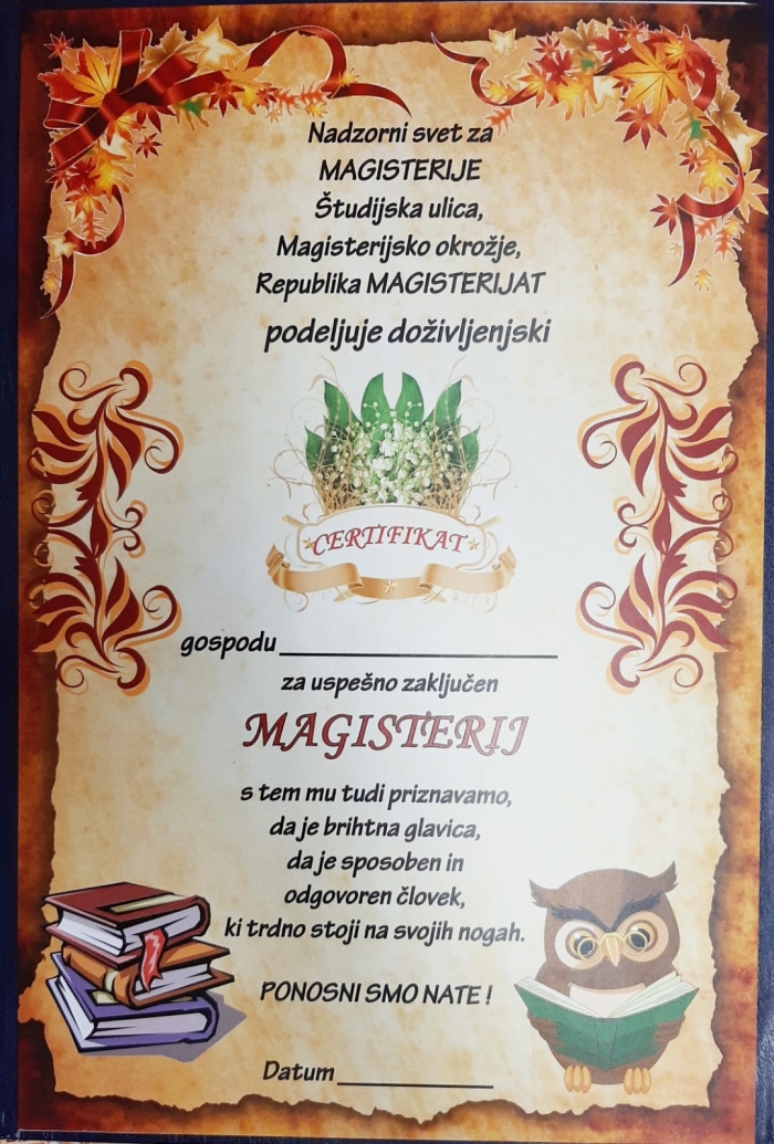 CERTIFIKAT MAGISTERIJ ON